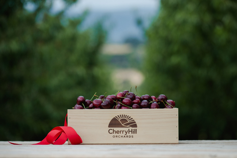 Cherry Hill Box Of Cherries